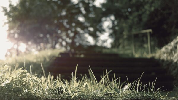 featured_image
