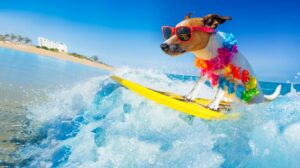 Dog wearing pink sunglasses and a colorful lei surfs a yellow board on a bright blue wave at the beach.